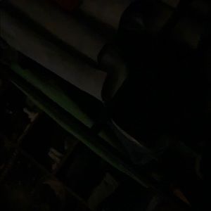 Meet your Posher, Nora